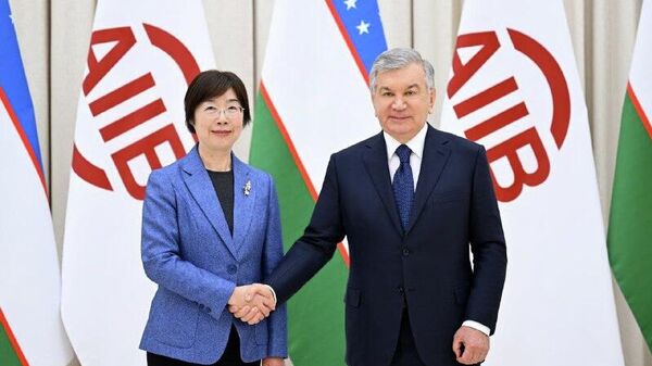 Президент Узбекистана провел встречу с президентом Азиатского банка инфраструктурных инвестиций - Sputnik Узбекистан