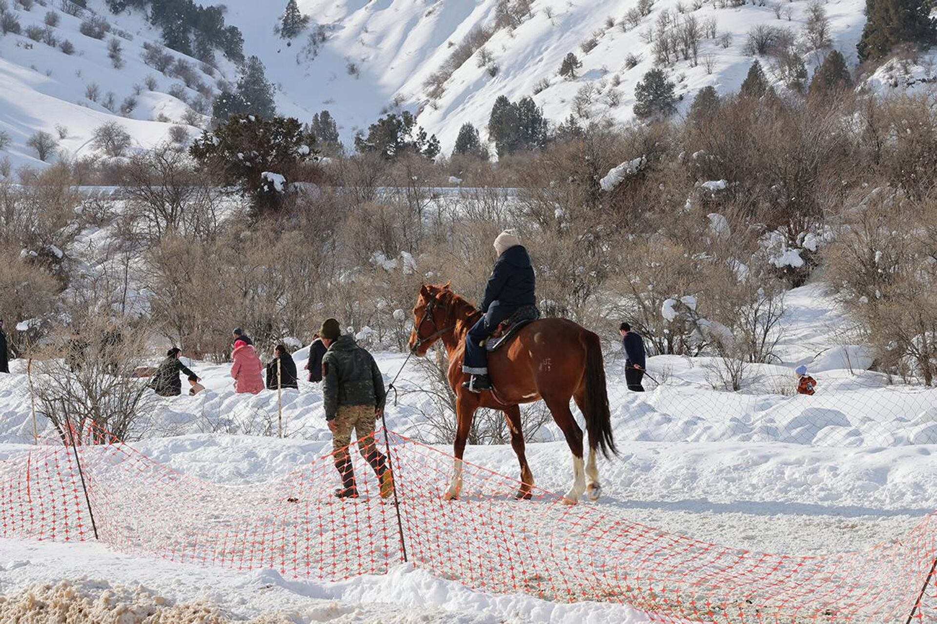 Қорли Чимён бағрида от билан сайр қилишнинг гашти бўлак. Ушбу суратда Ўзбекистон тоғларининг қишки гўзаллиги ва анъанавий ҳордиқ лаҳзалари муҳрланган. - Sputnik Ўзбекистон, 1920, 12.02.2026