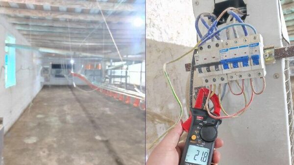 В Джизакской области работники птицефермы незаконно использовали электроэнергию на 2,5 млрд сумов - Sputnik Узбекистан