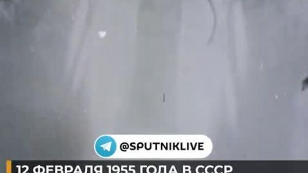 Первая звёздная гавань планеты - Sputnik Узбекистан