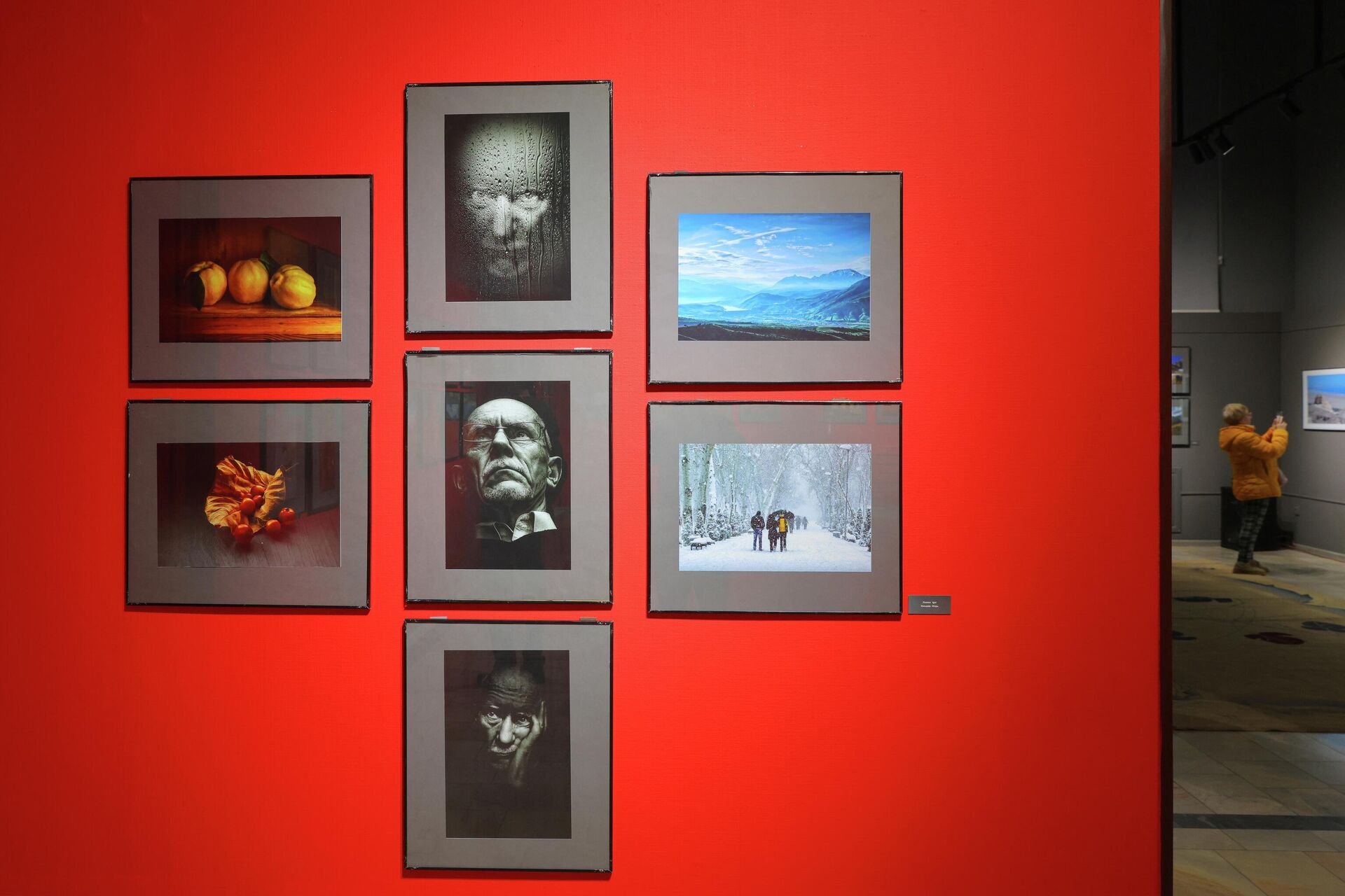 Тошкент Фотосуратлар уйида фотороссомлар ва ҳаваскорлар қўшма кўргазмаси очилди - Sputnik Ўзбекистон, 1920, 12.02.2026