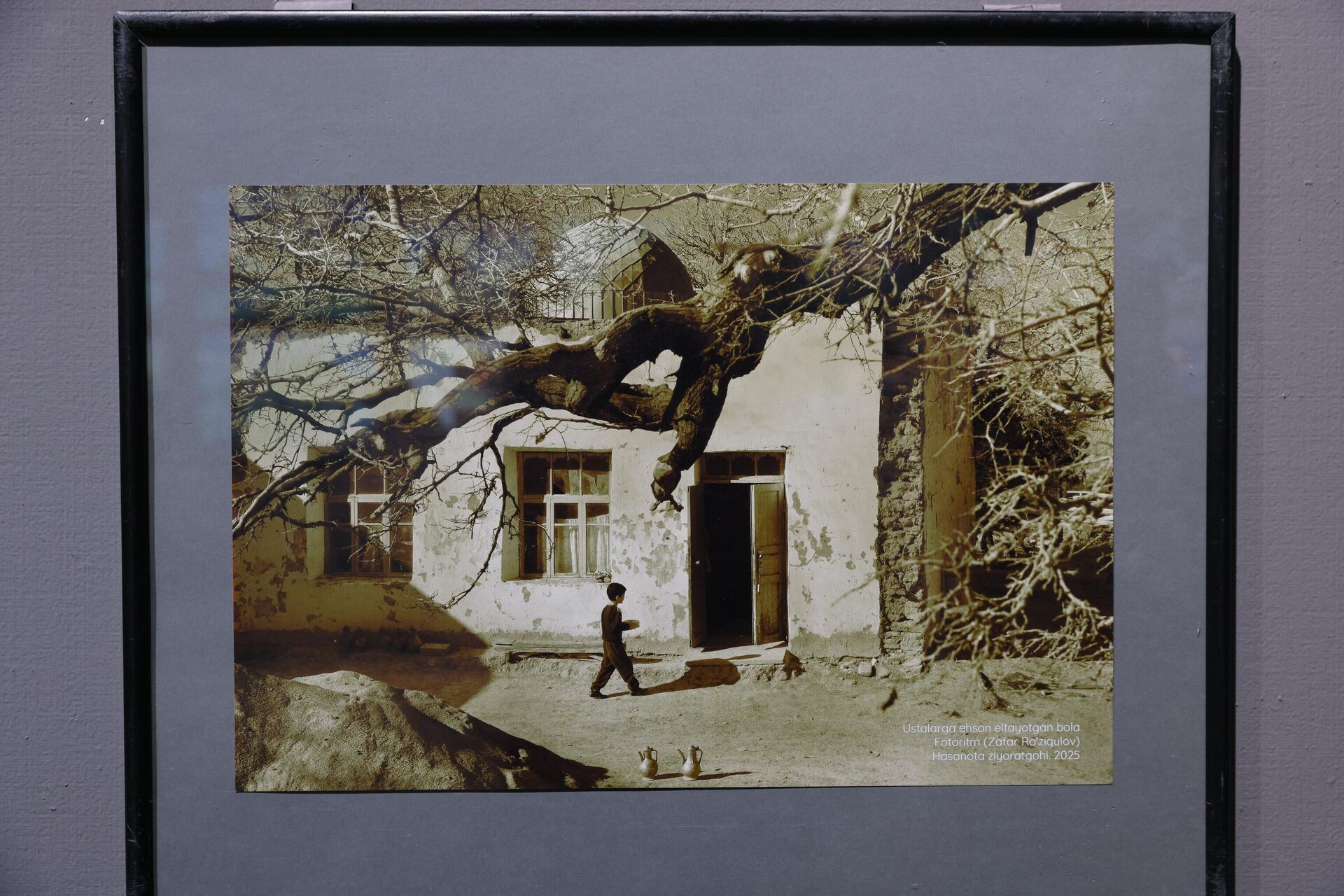 Тошкент Фотосуратлар уйида фотороссомлар ва ҳаваскорлар қўшма кўргазмаси очилди - Sputnik Ўзбекистон, 1920, 12.02.2026