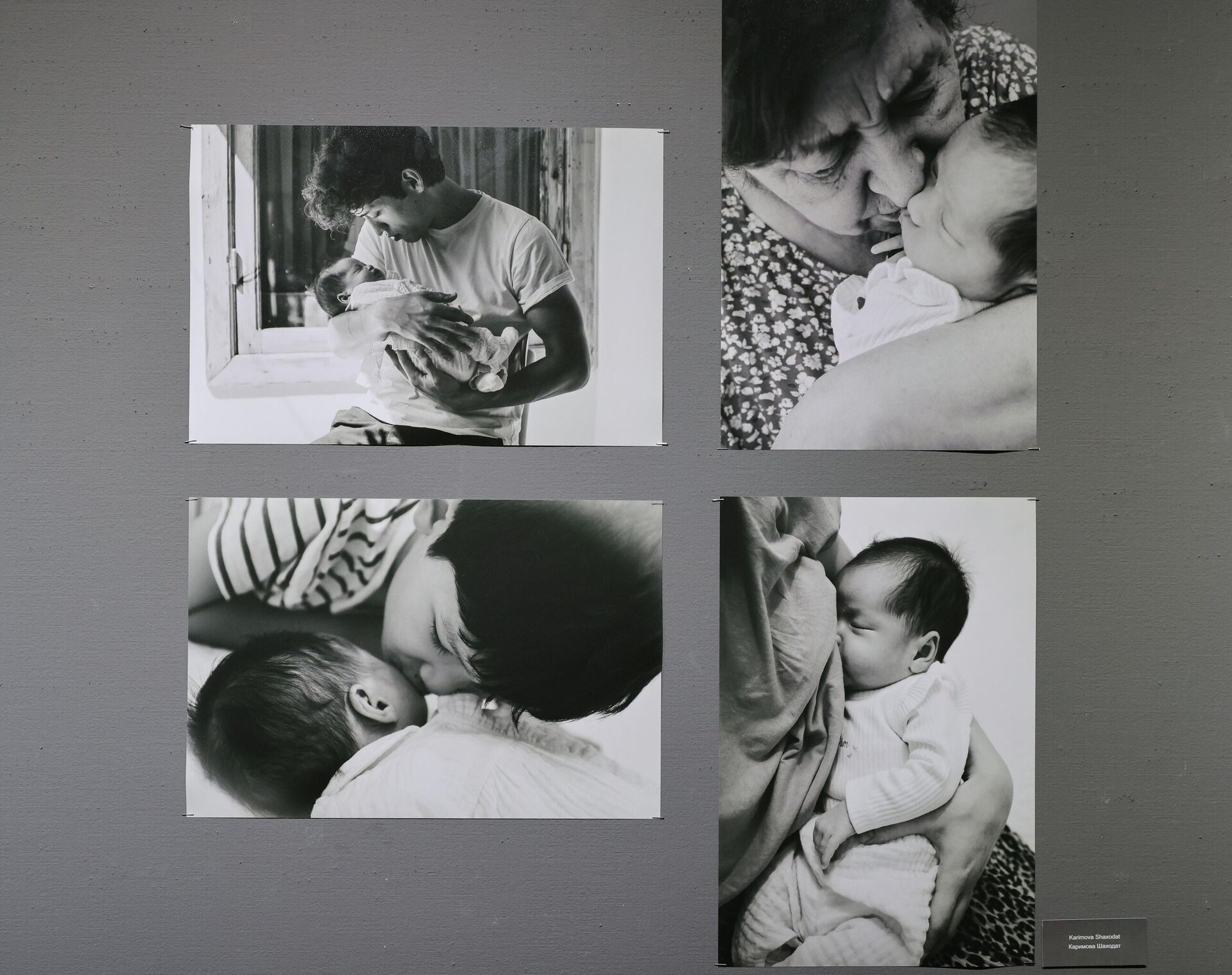 Тошкент Фотосуратлар уйида фотороссомлар ва ҳаваскорлар қўшма кўргазмаси очилди - Sputnik Ўзбекистон, 1920, 12.02.2026