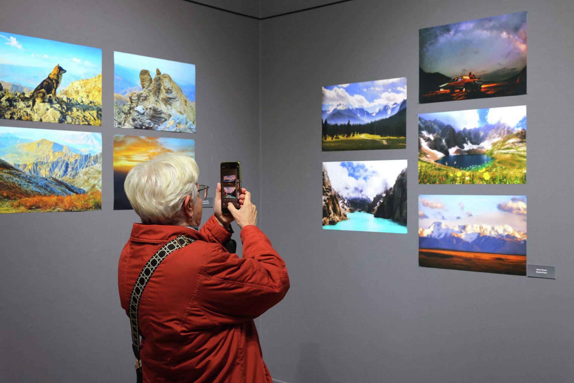 В Ташкентском доме фотографии открылась масштабная отчетная выставка фотохудожников - Sputnik Узбекистан, 1920, 12.02.2026