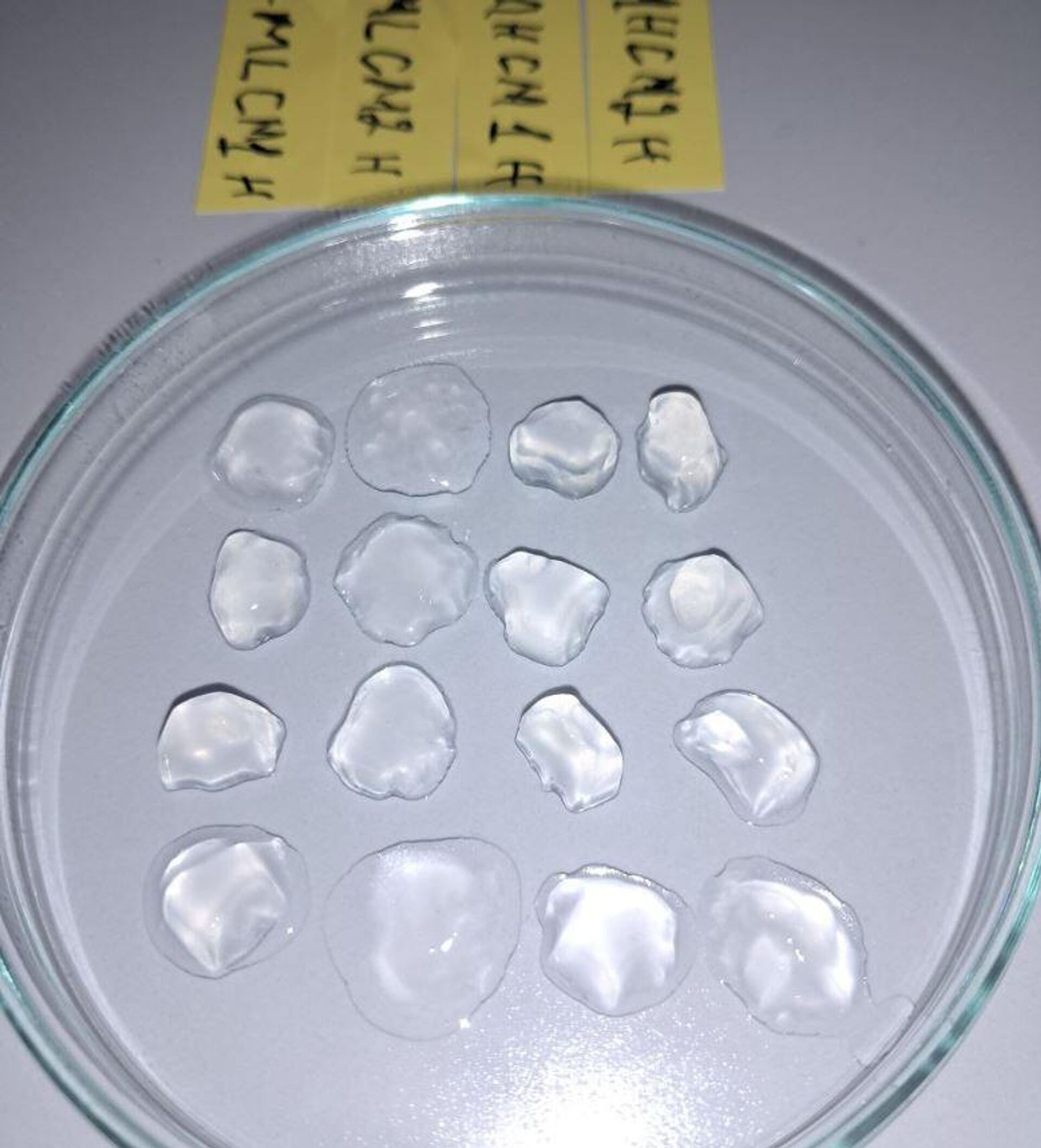 Узбекистан создает возможность печати человеческих органов на 3D-биопринтере - Sputnik Узбекистан, 1920, 12.02.2026