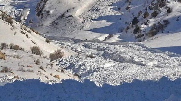 В горах Чимгана 13 февраля сошло 7 снежных лавин - Sputnik Узбекистан