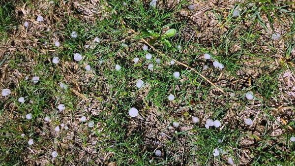 В Джизакской области селевые потоки подтопили десятки дворов - Sputnik Узбекистан