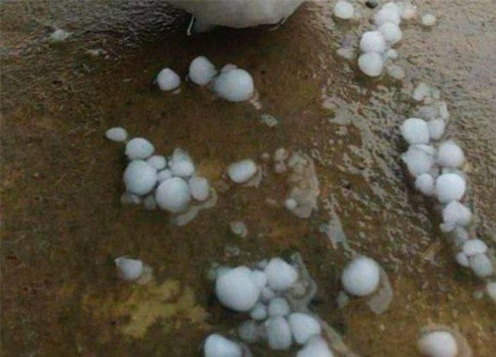 В Джизакской области селевые потоки подтопили десятки дворов - Sputnik Узбекистан, 1920, 14.02.2026