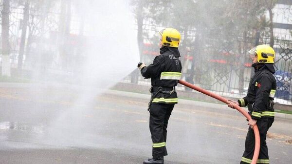 Сегодня в 15 - Sputnik Узбекистан