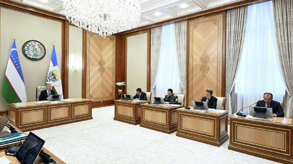 Узбекистанский научный спутник Мирзо Улугбек запустят в 2028 году - Sputnik Узбекистан