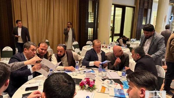 Предприниматели Сырдарьинской области подписали с афганскими партнерами торговые соглашения на $300 млн - Sputnik Узбекистан