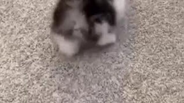 Сегодня на большей части территории Узбекистана осадков не ожидается - Sputnik Узбекистан