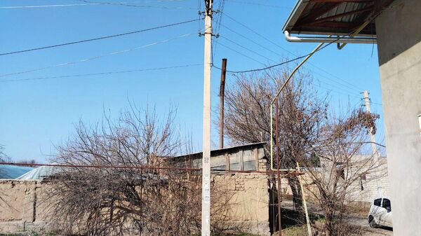 В Кибрае приостановили работу теплицы из-за нарушений экологических норм - Sputnik Узбекистан