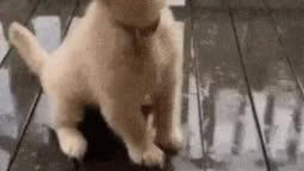 В ряде регионов Узбекистана сегодня ожидаются осадки - Sputnik Узбекистан