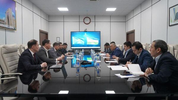 Узбекнефтегаз и Казмунайгаз договорились ускорить реализацию проекта по производству линейного алкилбензола - Sputnik Узбекистан