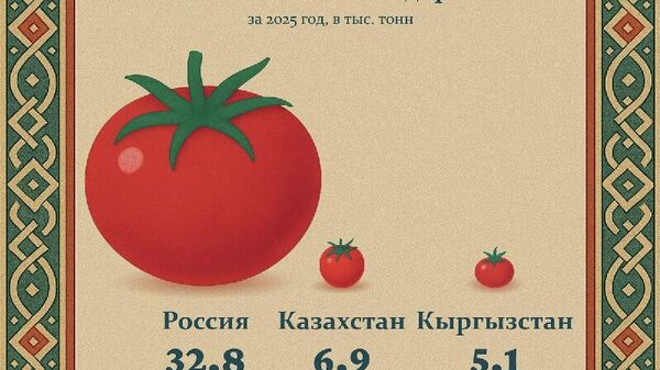 В топ-3 стран ЕАЭС, куда Узбекистан поставлял помидоры в 2025 году, уверенно лидирует Россия - Sputnik Узбекистан