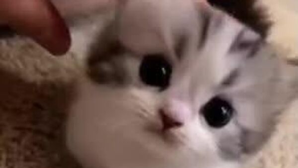 Сегодня в Узбекистане сохранится погода без осадков - Sputnik Узбекистан