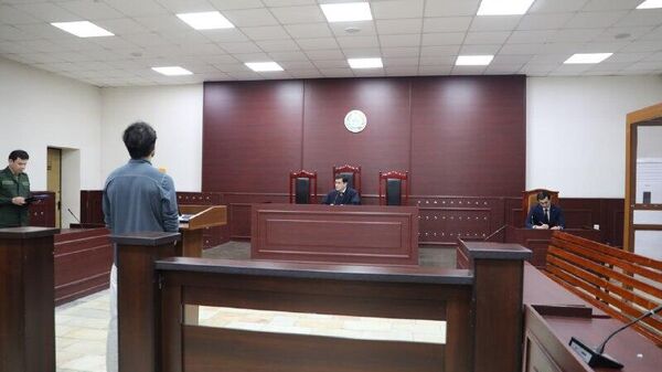 Все-таки сел: владелец BMW, который отделался штрафом, получил 10 суток ареста - Sputnik Узбекистан