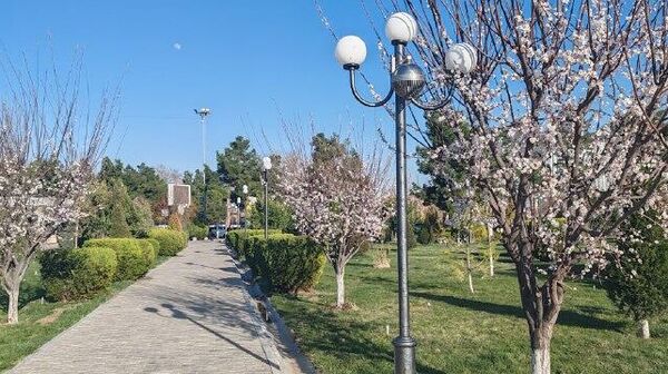 В последний день зимы в Самарканде царит настоящая весна - Sputnik Узбекистан