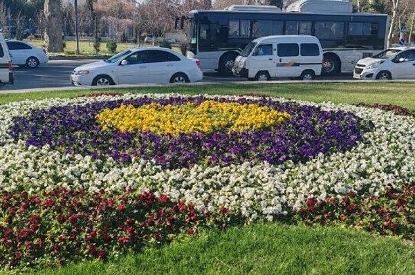 В последний день зимы в Самарканде царит настоящая весна В последний день зимы в Самарканде царит настоящая весна - Sputnik Узбекистан