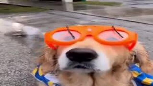 Сегодня по Узбекистану пройдут дожди - Sputnik Узбекистан