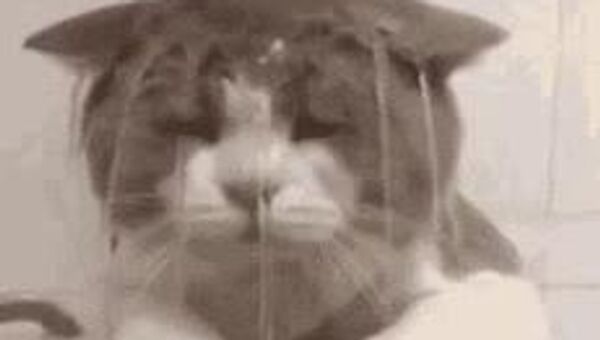 По Узбекистану снова пройдут дожди - Sputnik Узбекистан