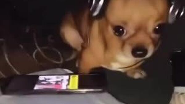 Дожди и туманы – погода в Узбекистане на сегодня - Sputnik Узбекистан