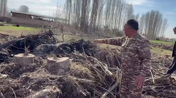 Почти 1,5 млрд сумов ущерба нанесли природе в Ахангаранском районе - Sputnik Узбекистан