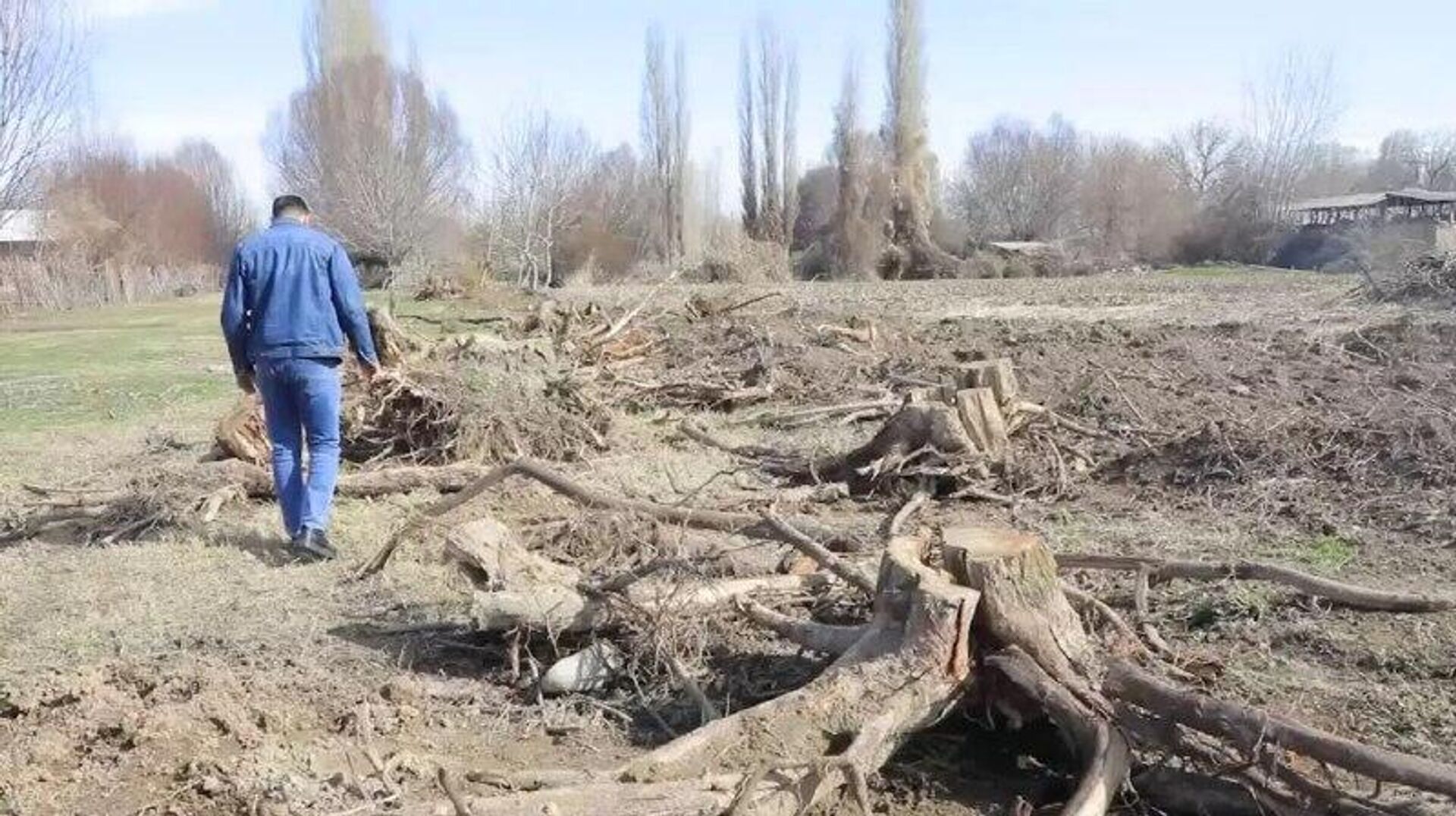 Почти 1,5 млрд сумов ущерба нанесли природе в Ахангаранском районе - Sputnik Узбекистан, 1920, 06.03.2026