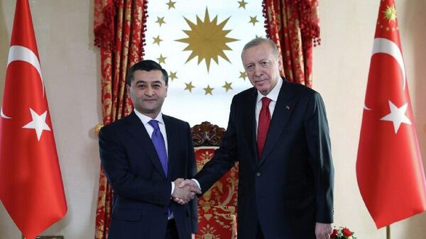 Бахтиёр Саидов провел встречу с Реджепом Тайипом Эрдоганом - Sputnik Узбекистан