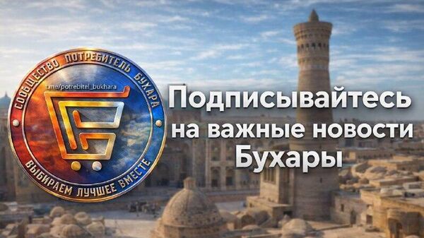 В Бухаре есть канал, где освещают самые важные и правдивые события , помогают решать городские проблемы - Sputnik Узбекистан