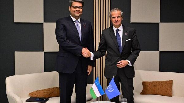 Специалисты МАГАТЭ в 2026 году изучат реализацию проекта возведения АЭС в Джизакской области - Sputnik Узбекистан