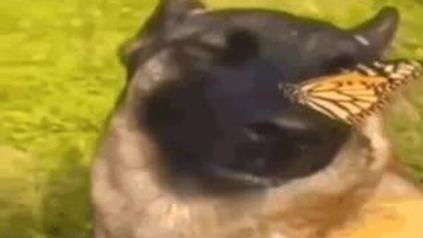 Сегодня в Узбекистане ожидается теплая погода без осадков - Sputnik Узбекистан