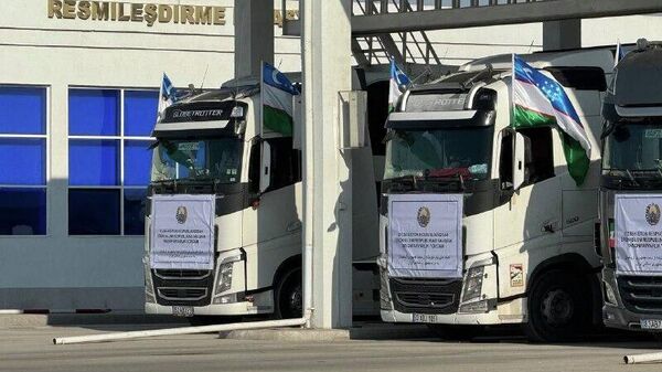 Узбекистан направил в Иран гуманитарную помощь - Sputnik Узбекистан