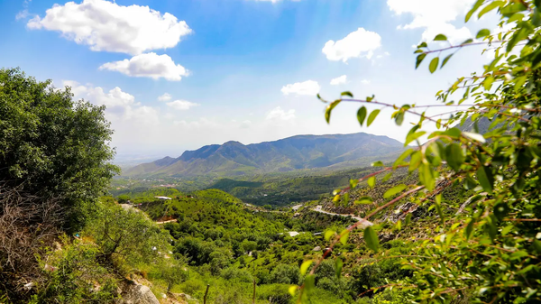 Oxranyayemie prirodnie territorii budut vklyucheni v spisok obyektov prirodnogo naslediya - Sputnik O‘zbekiston