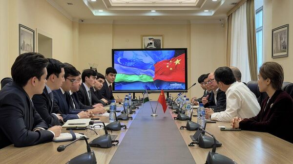 Обсуждены проекты в сфере водного хозяйства с крупными компаниями из Китая и Японии - Sputnik Ўзбекистон