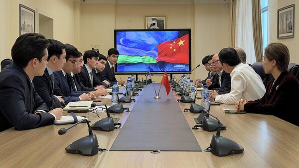 Obsujdeni proyekti v sfere vodnogo xozaystva s krupnimi kompaniyami iz Kitaya i Yaponii - Sputnik O‘zbekiston