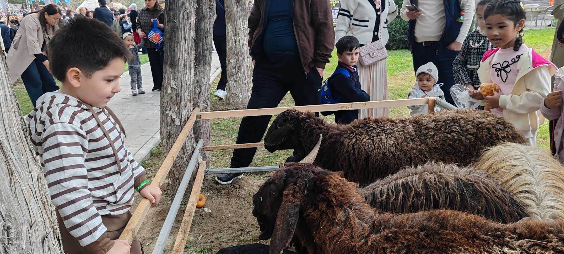 В Самарканде в честь Навруза прошли народные гуляния. - Sputnik Узбекистан, 1920, 21.03.2026