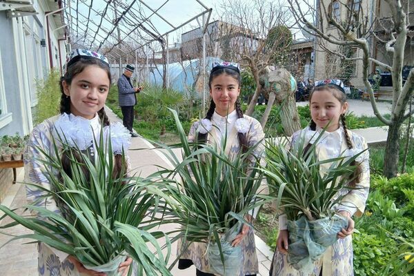 В Самарканде школам и детсадам подарили почти 45 тысяч цветов и саженцев - Sputnik Узбекистан