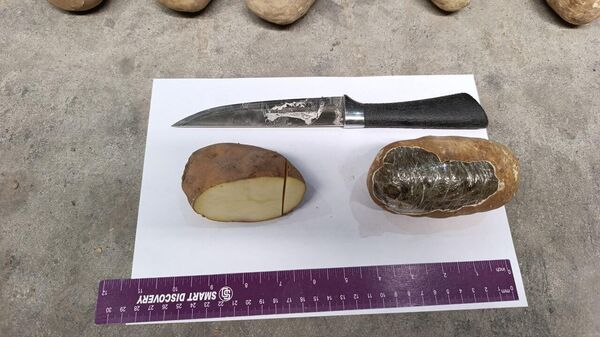 В Сурхандарье обнаружили более 72 кг гашиша, замаскированного под картофель - Sputnik Узбекистан