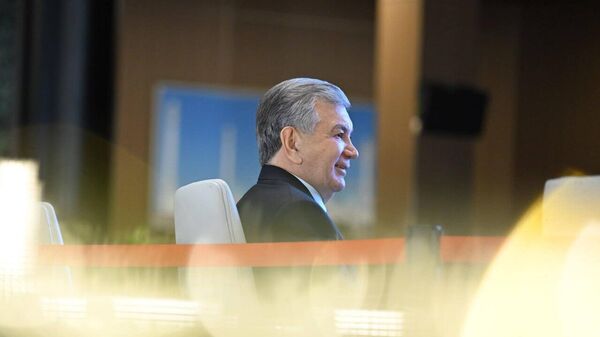 В Новом Ташкенте появится комплекс Великий Шелковый путь площадью 32 гектара - Sputnik Узбекистан