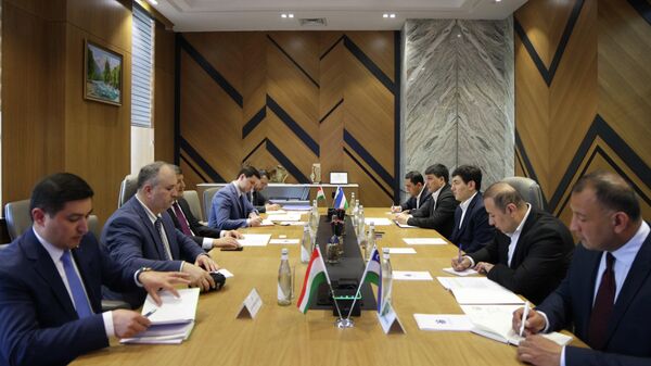 Визит в Узбекистан делегации Таджикистана - Sputnik Ўзбекистон