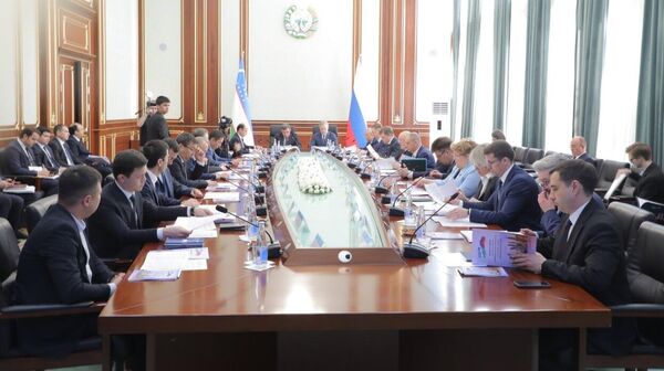 Состоялось заседание узбекско-российской межведомственной группы по миграционной сфере - Sputnik Ўзбекистон