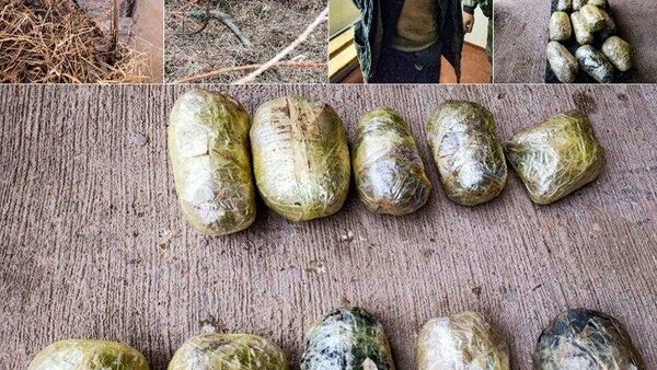 🟠Наркокурьера из Афганистана задержали при попытке пересечь границу с Узбекистаном на лодке - Sputnik Узбекистан