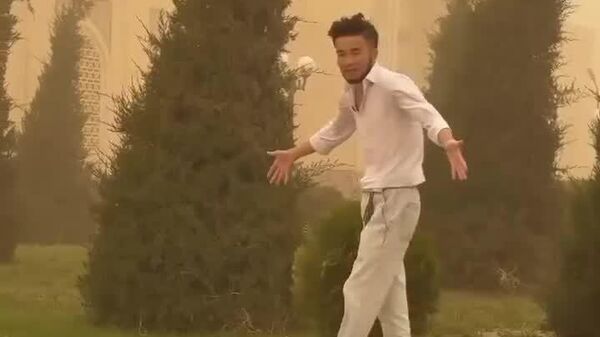 В Термезе началась пыльная буря - Sputnik Узбекистан