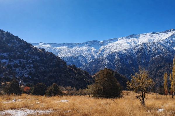 Гиссарский государственный горно-арчовый заповедник Хисор - Sputnik Узбекистан