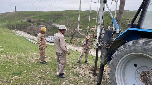 V Djizakskoy oblasti v rezultate padeniya stolba pogibli tri golovi krupnogo rogatogo skota - Sputnik O‘zbekiston