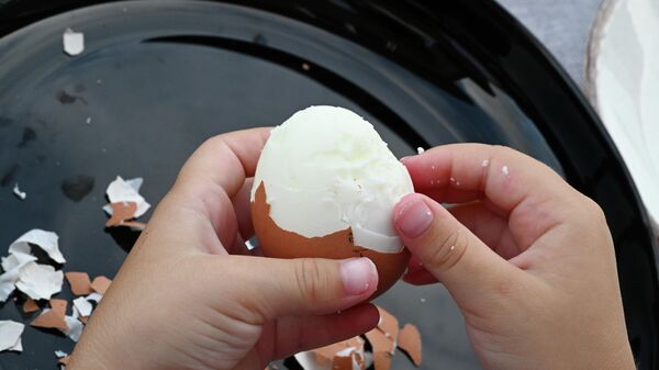 Яйцо - Sputnik Узбекистан