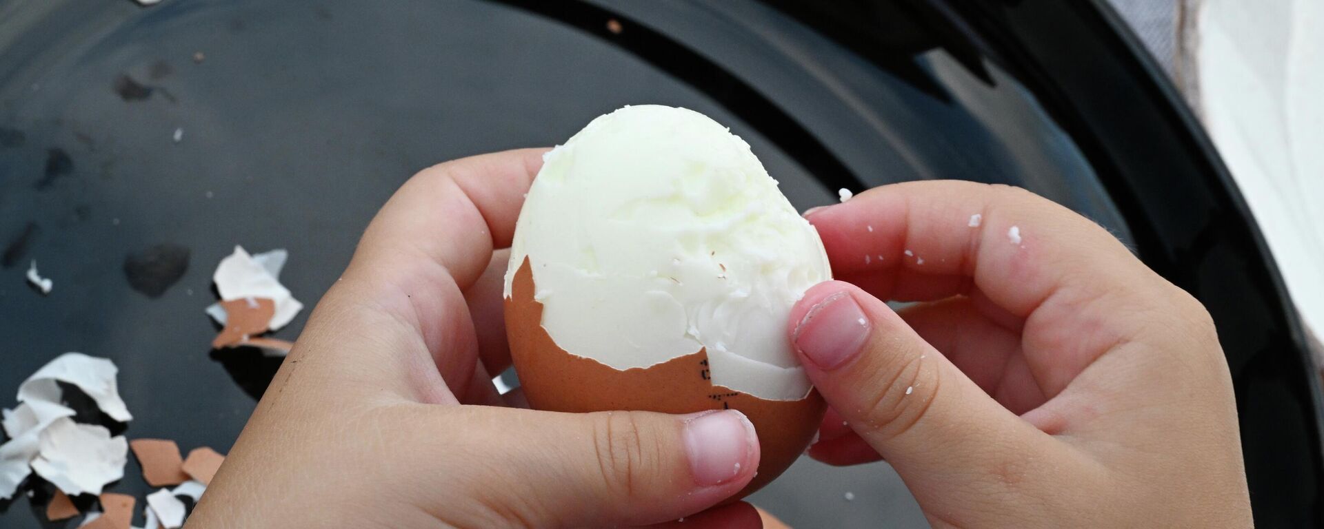 Яйцо - Sputnik Узбекистан, 1920, 31.03.2026