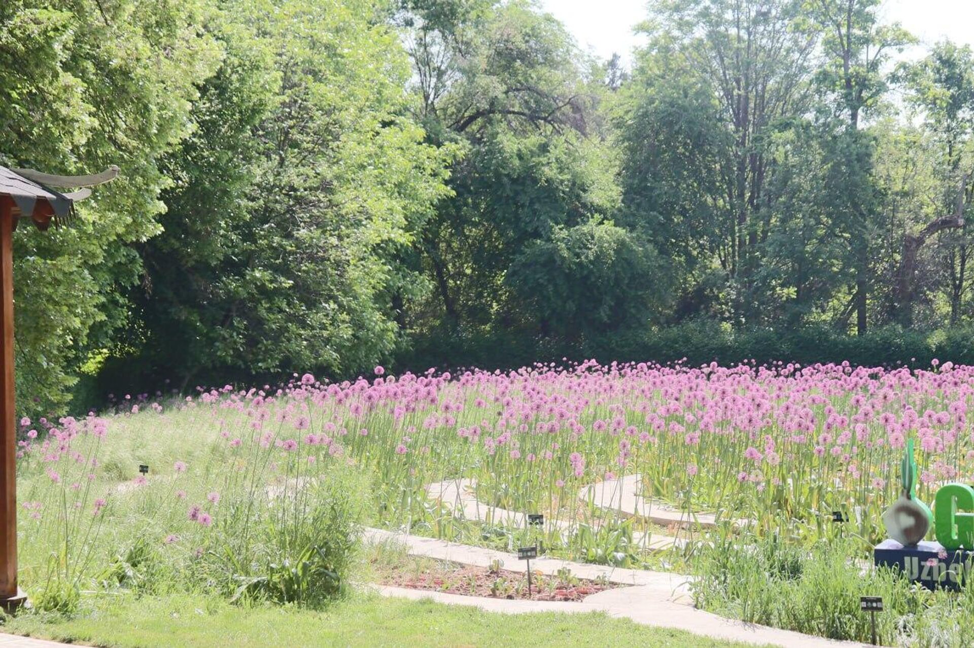 Ботанический сад в Ташкенте Ботанический сад в Ташкенте - Sputnik Узбекистан, 1920, 31.03.2026